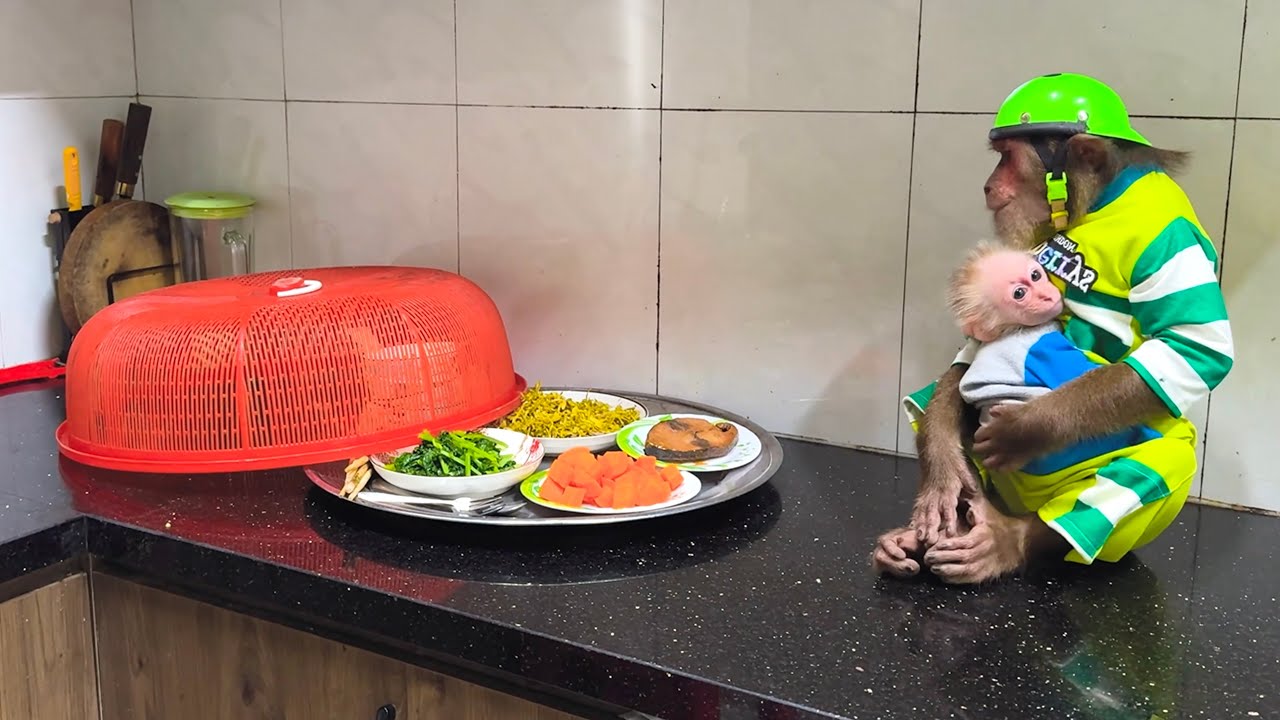 Must Watch! CUTIS’ Sweet Secret for Baby Monkey Is Revealed