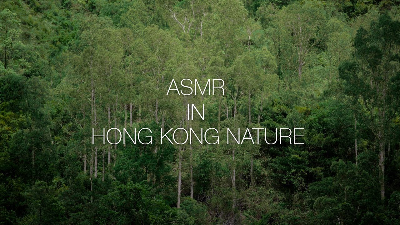 [360 Hong Kong Moments] ASMR in Hong Kong Outdoors