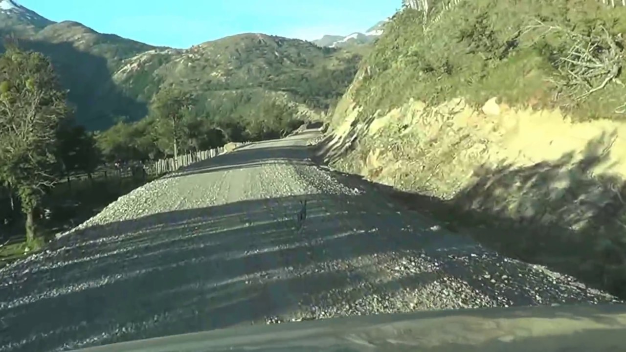 Ivan Pineda Basso. Plaga de liebres en Cochrane, Región de Aysén.
