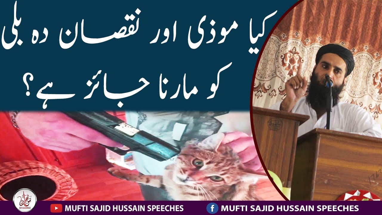 Mozi Or Nuqsan Deh Billi Ko Marna Kia Jaiz He | Mufti Sajid Hussain