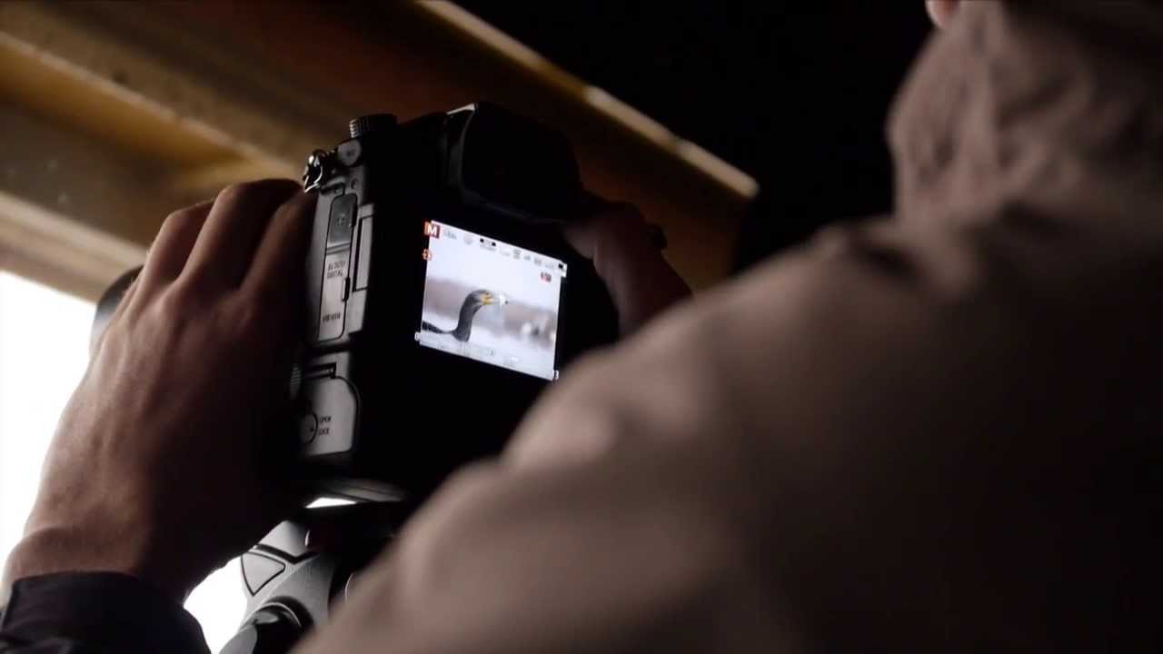 Lumix GH4 con Bence Matè