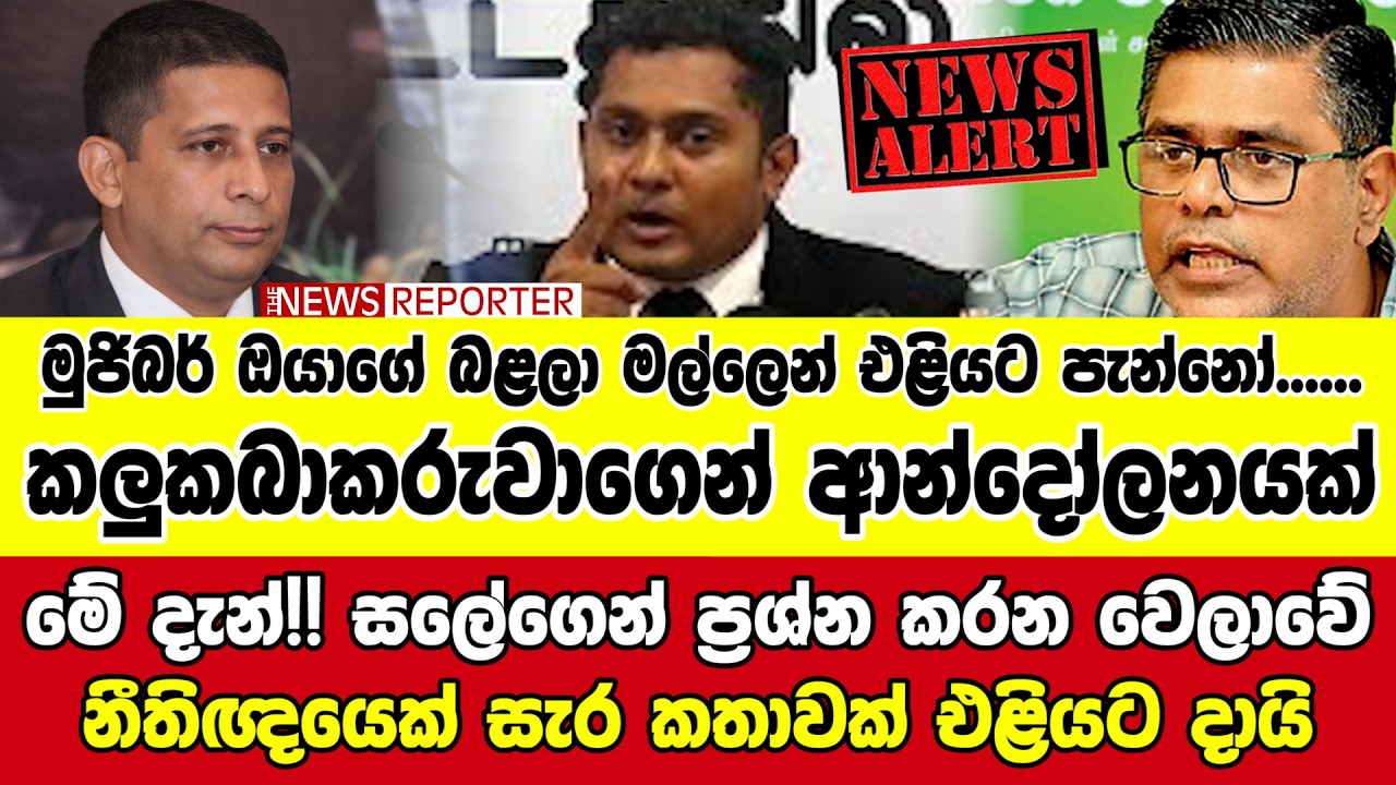 🚨මේ දැන්!! සලේගෙන් ප්‍රශ්න කරන වෙලාවේ නීතිඥයෙක් සැර කතාවක් එළියට දායි