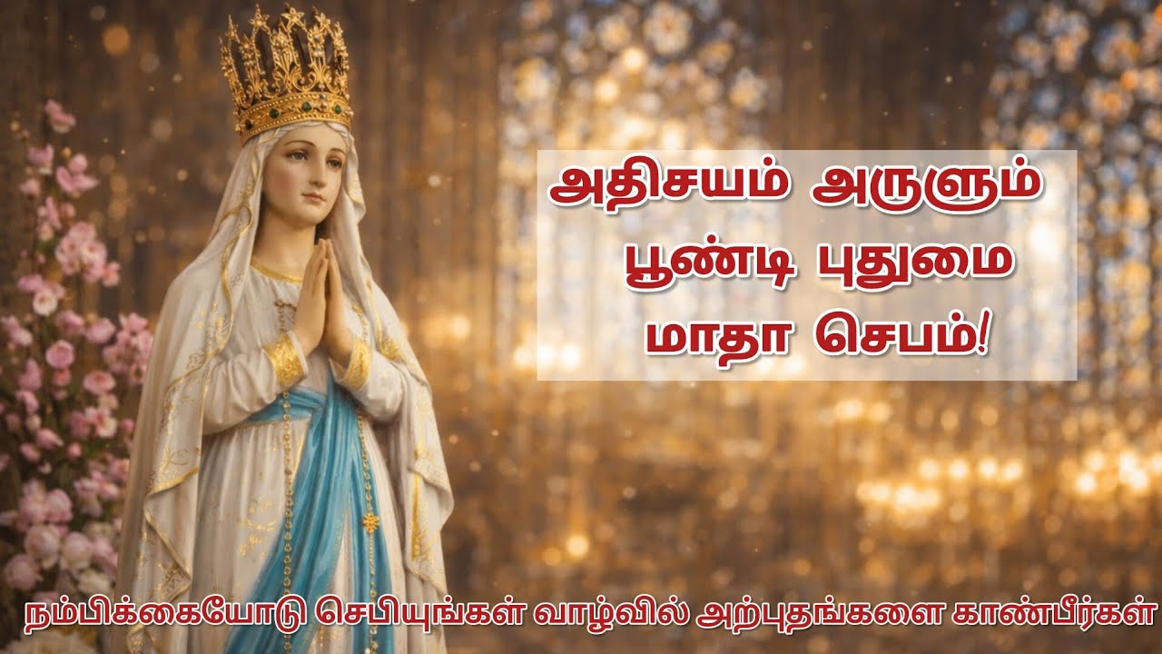 பூண்டி புதுமை மாதா செபம் | நோய்கள் நீங்க, நம்பிக்கை பெருக | poondi Matha Prayer Tamil