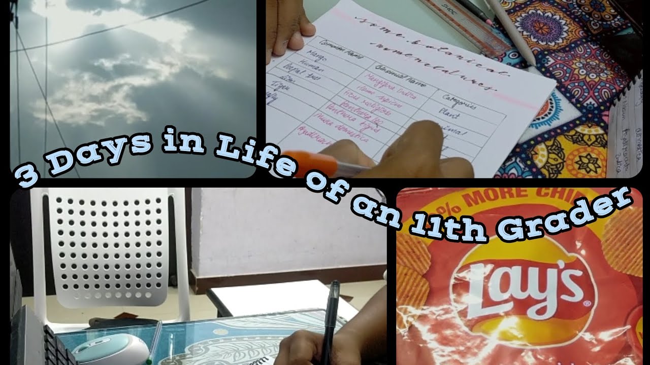 3 Days in the Life of an 11th Grader |  #studyvlog #study | 