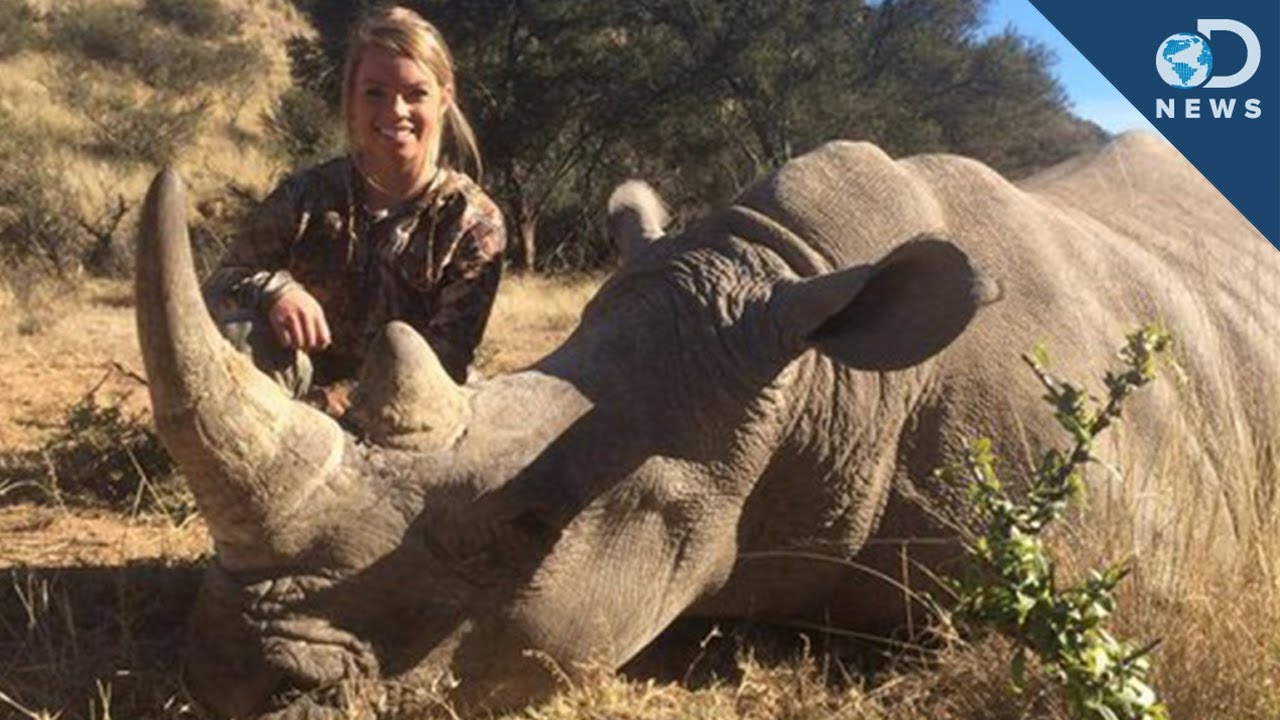 Does Hunting Exotic Animals Help Conservation?