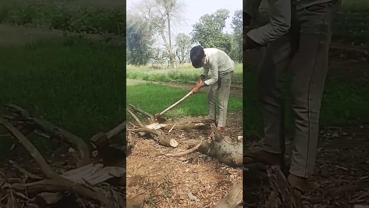 show the video