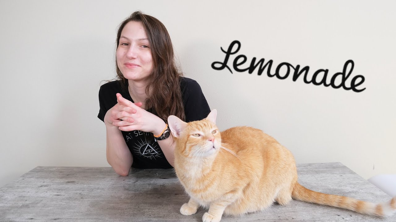 Lemonade Cat Insurance Review