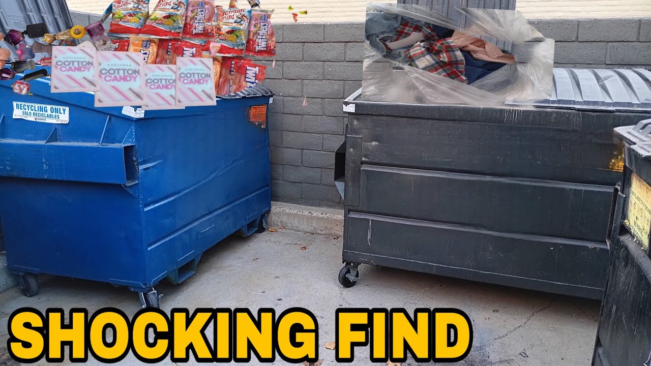 SHOCKING DUMPSTER FIND- YOU WON'T BELIEVE WHAT I SCORED!