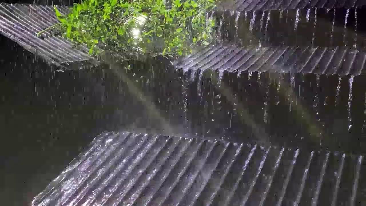 Relieve Stress Fast with Heavy Rainstorm & Thunder Echoes on a Tin Roof at Night