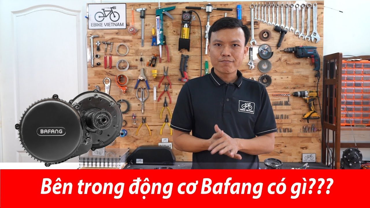 Bên Trong Động Cơ Bafang 750W có Gì??? | Bafang BBS02 Disassembly