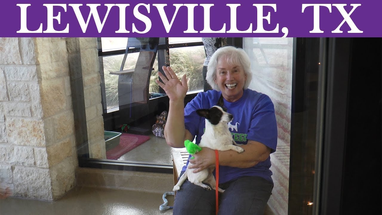 Volunteer with Lewisville Animal Services!