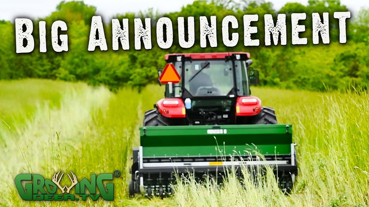 Food Plot Planning: New Seed Blends and Savings (684 )