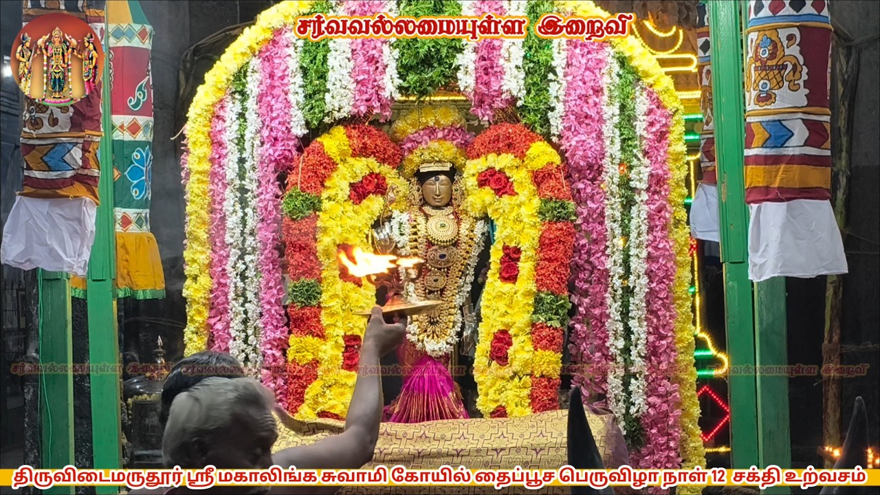 திருவிடைமருதூர் மகாலிங்க சுவாமி ஆலய தைப்பூச பெருவிழா நாள் 12 சக்தி உற்வசம் sarvavallamaiyullaIraivi 
