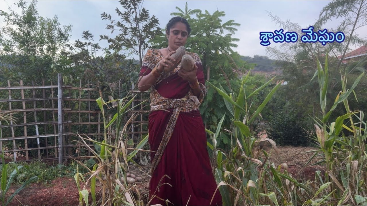 ముందు మనం ఇస్తే కదా॥పిల్లల విషయంలో ఇలానే ఉంటాను@sravanamegham 