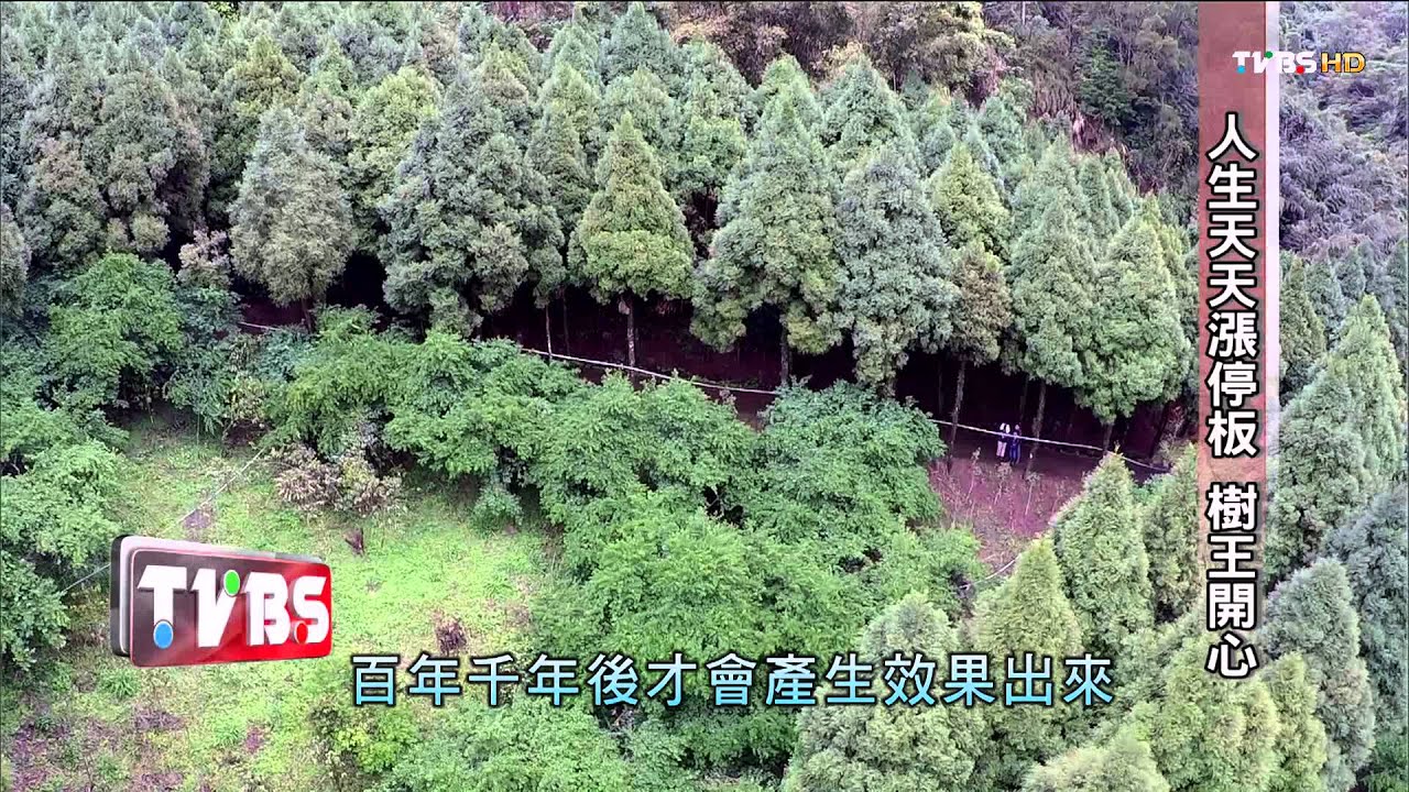 拿20億種樹 賴桑．全送台灣 看板人物 賴倍元 20150412 (1/3)