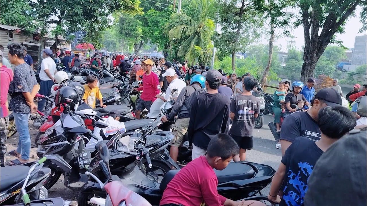 tanggal muda mbuladak pengunjung pasar burung petekan surabaya