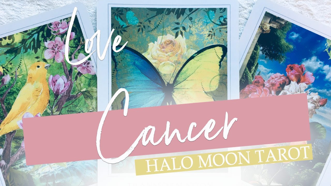 CANCER - MANIFESTING EACH OTHER. A TALK