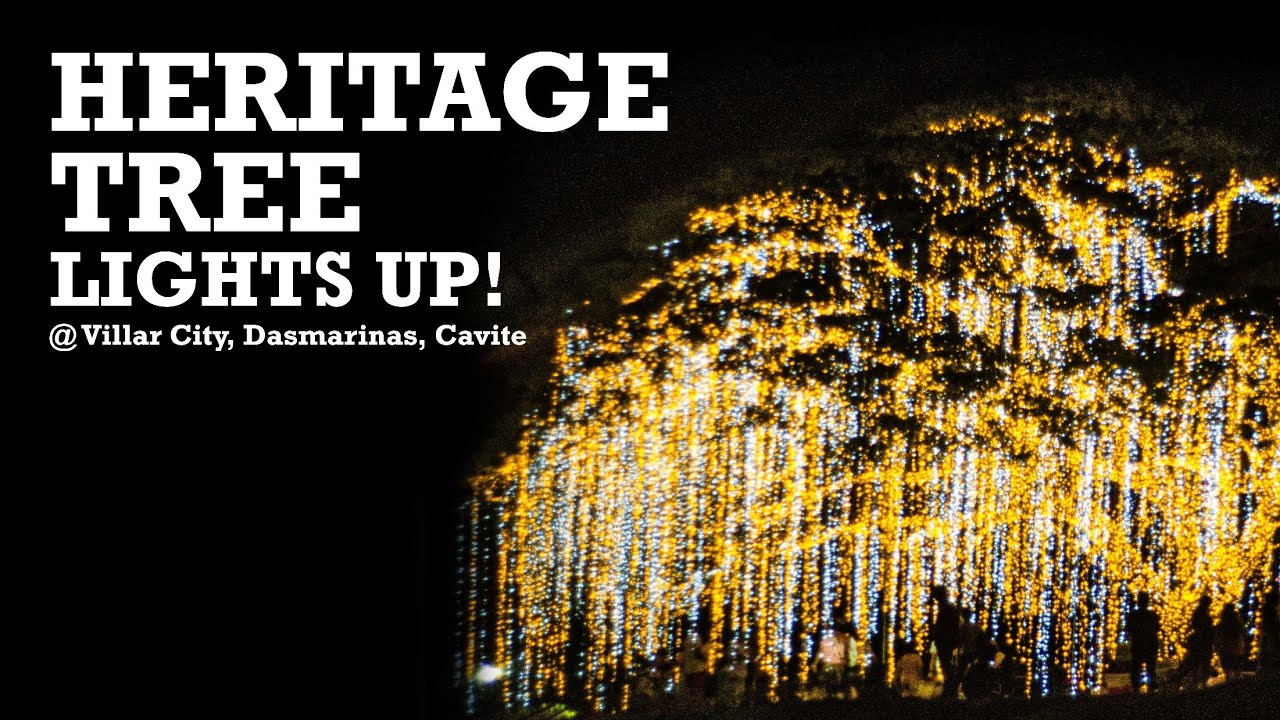 Heritage Tree Lights Up! @ Villar City, Dasmari&ntilde;as, Cavite