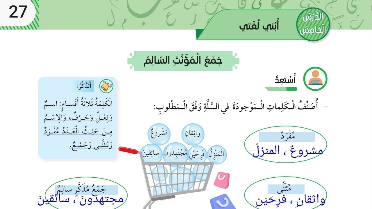 جمع المؤنث السالم صف خامس عربي صفحة 27 / 28 / 29 / 30 الدرس الخامس أبني لغتي شرح الدرس و حل الأسئلة