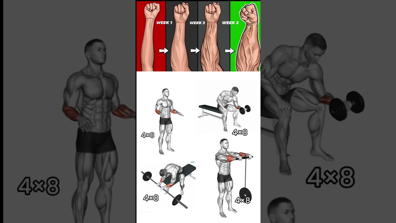 Best Arm Workout || Forearms Workout || Believe Yourself #workout #fitness #gym #shorts #fitwithme