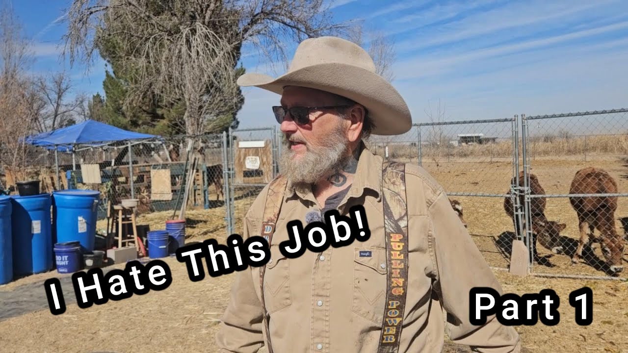 I do hate this job and the swimming pool too!! part 1 #ourlittletexasranch