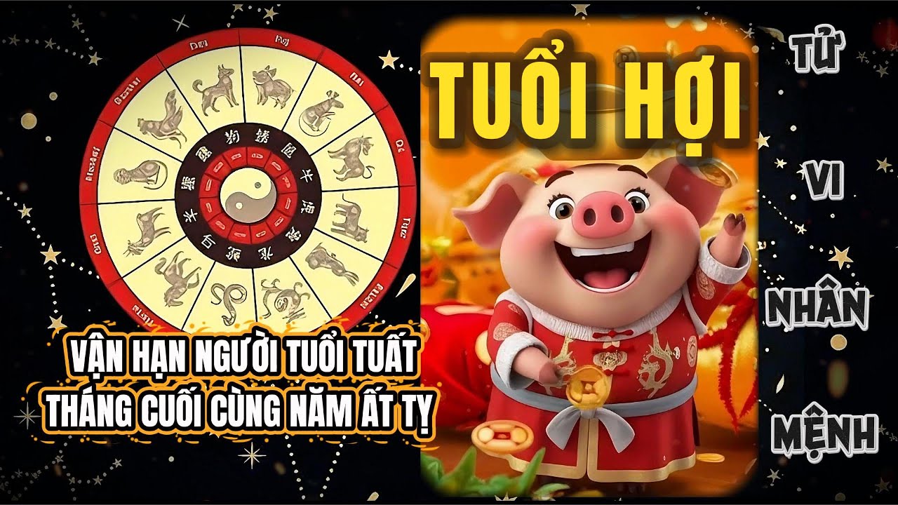 VẬN HẠN CUỐI NĂM CỦA NGƯỜI TUỔI HỢI VÀ LỜI KHUYÊN HÓA GIẢI | TỬ VI NHÂN MỆNH