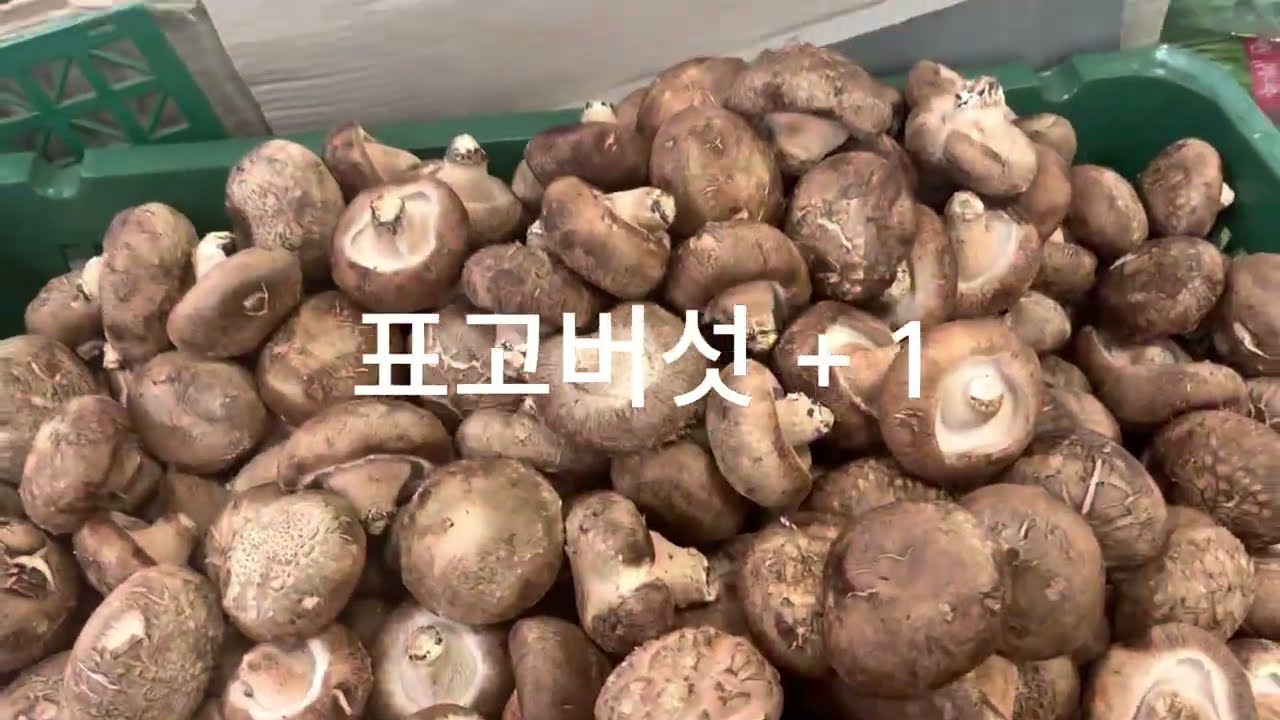 설 연휴 모두가 북적일 때, 조용하게 행복해지는 법
