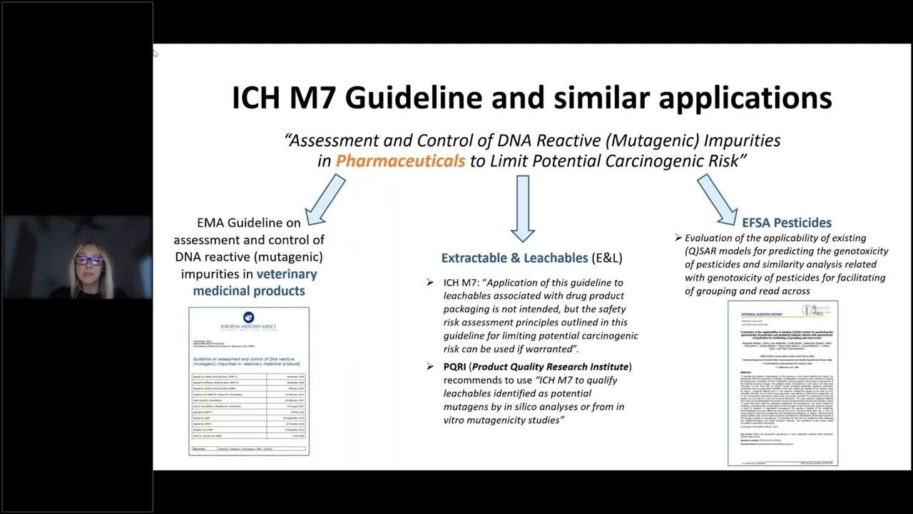How can in silico methods support the derivation of safety limits?