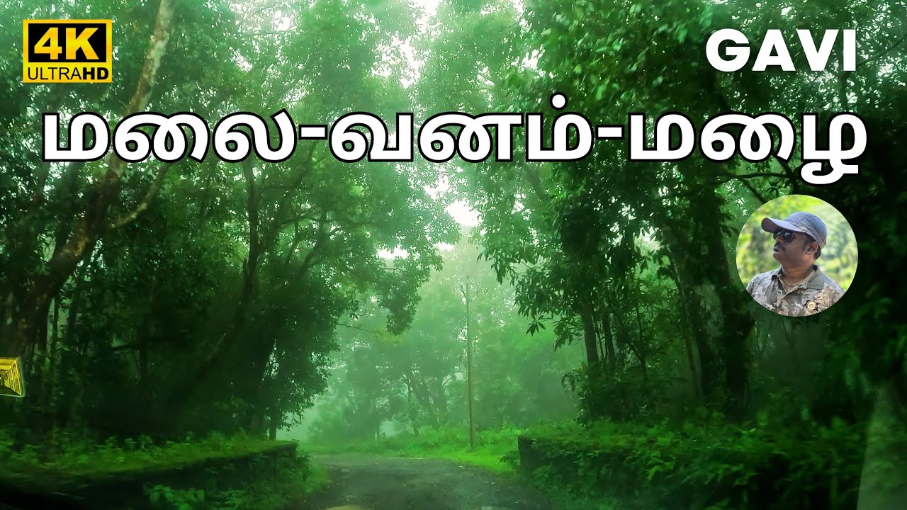 Explore Gavi’s Magic: Wildlife & Tent Camping in Kerala’s Best Kept Secret!