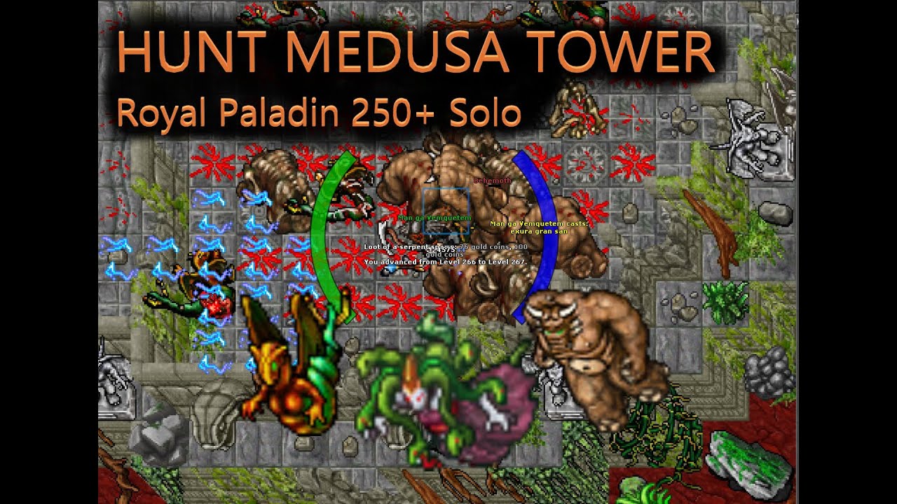 Hunts Alternativas: Medusa Tower SOLO de Royal Paladin (RP level 250+) MANGA JOGA (Tibia)
