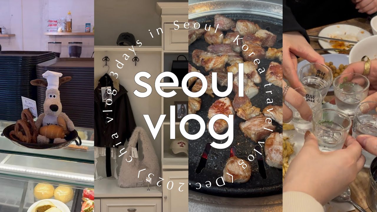 【vlog】冬の韓国2泊3日❄️ソウル大満喫な女子3人旅💌明洞/漢南/狎鴎亭/江南