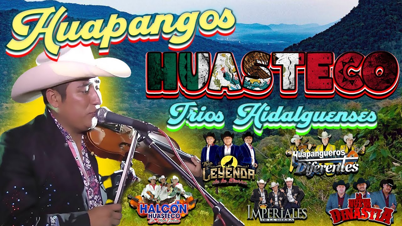 🎻Mix Huastecos Huapangos 2022 Tríos Hidalguense🔥PUROS ÉXITOS MIX  ZAPATEADO