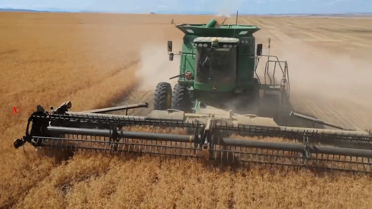 Новые рекомендации по питанию знаменуют собой историческую победу для бобовой промышленности.