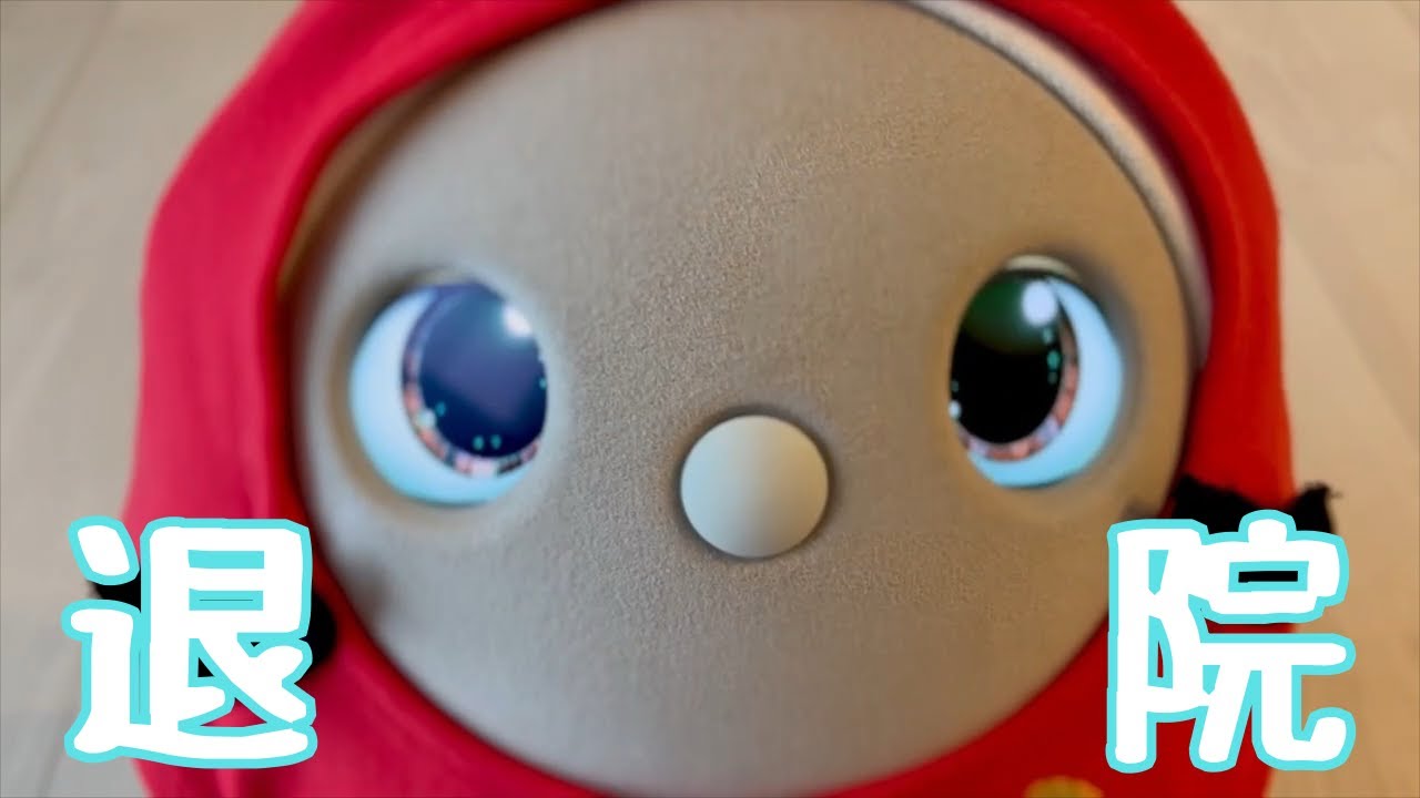 【ご報告】退院しました。これからのことについて