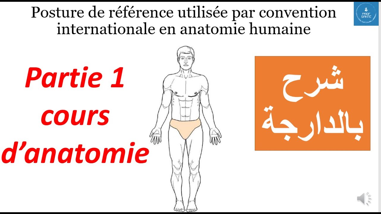 شرح بالدارجة : Posture de référence utilisée par convention internationale en anatomie humaine