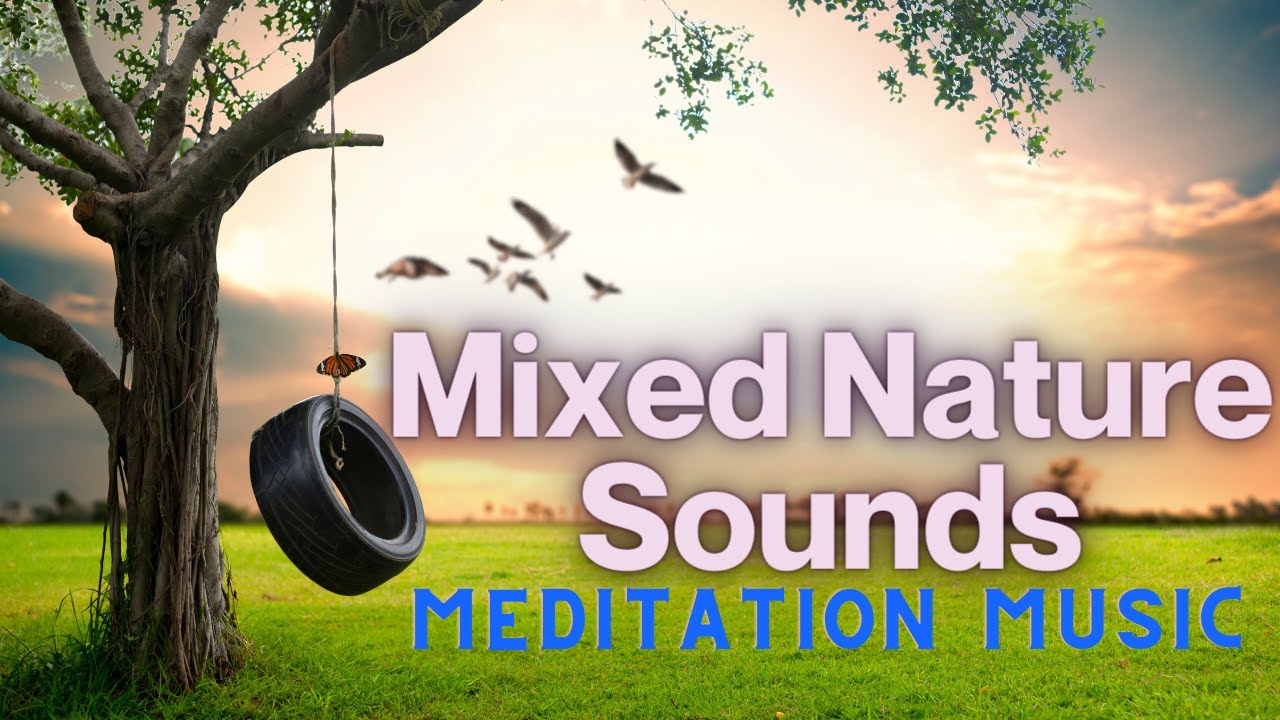 Mixed Nature Sounds, Beautiful Piano Music, Background Music, Sleep Music, RelaxZEN