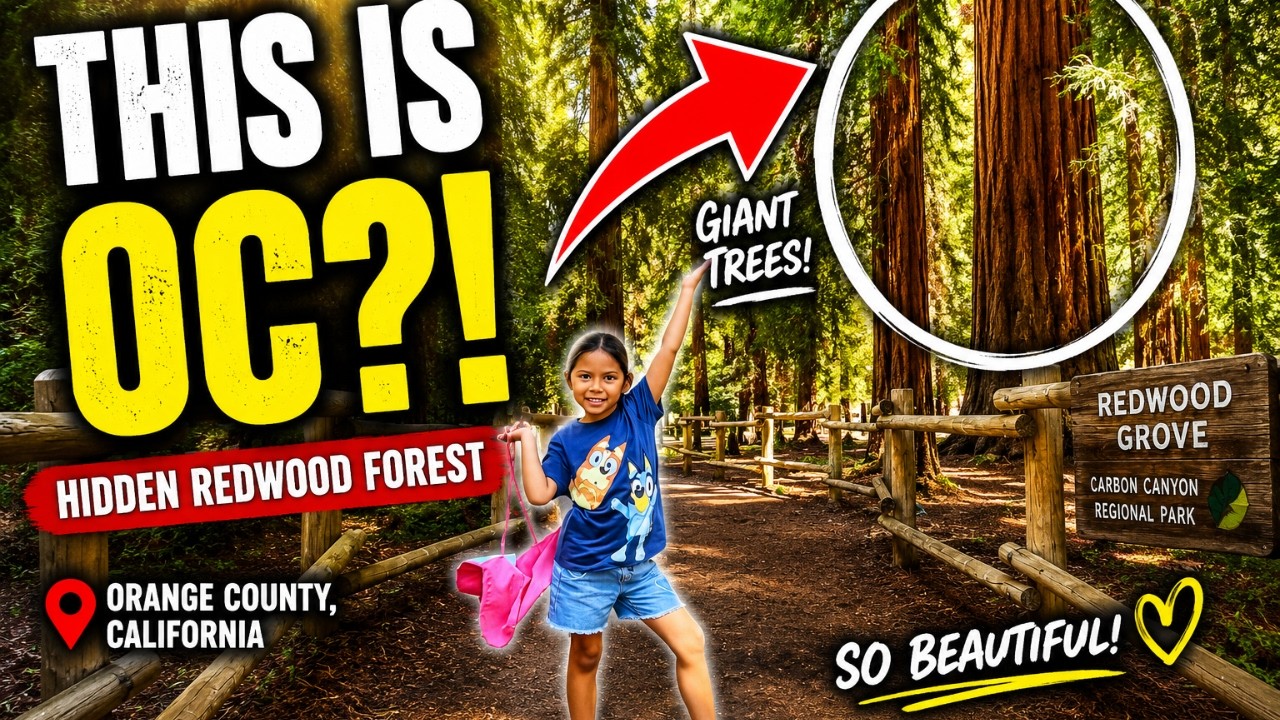 Walking Through Orange County's Famous Redwood Grove