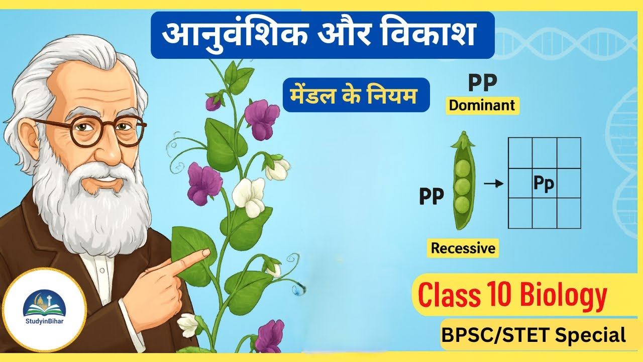 आनुवंशिकता और विकास (Genetics & Evolution) | मेंडल के नियम | Class 10 Biology