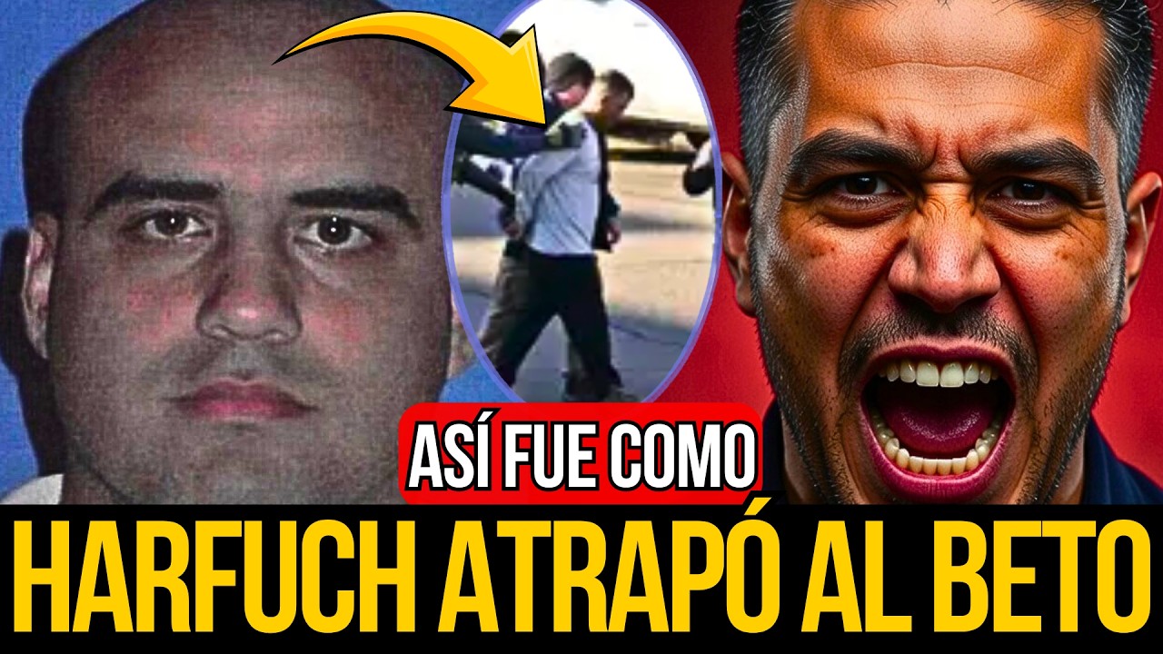 ¡ÚLTIMA HORA! HARFUCH JUNTO A DEA CAPTURÓ A 