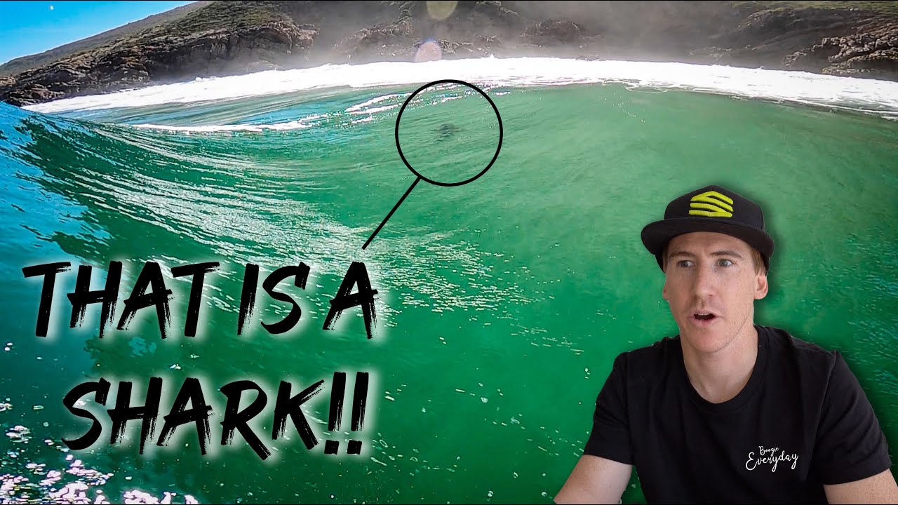 CRAZY Shark Encounter while Bodyboarding | SHARK Siren Went Off