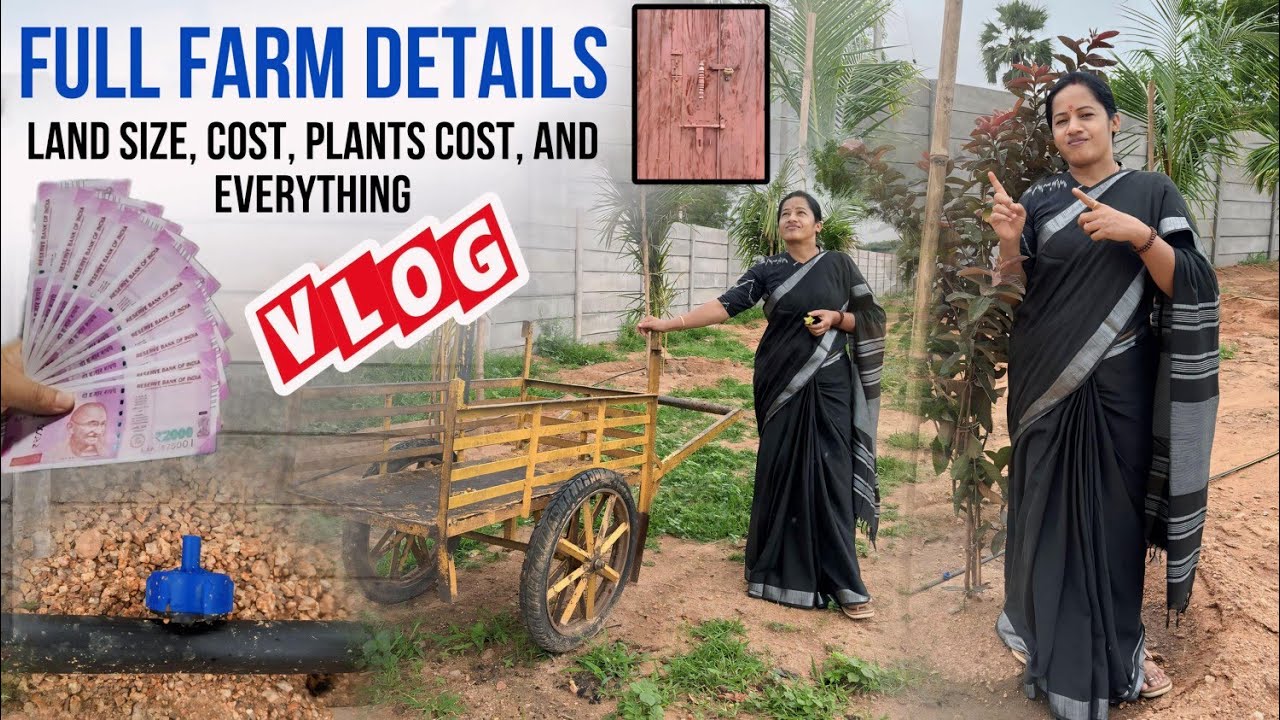 మా ఫామ్ ల్యాండ్ టూర్; విత్ ప్రైజ్ తోని డీటేల్ గా... #youtube #subscribemychannel