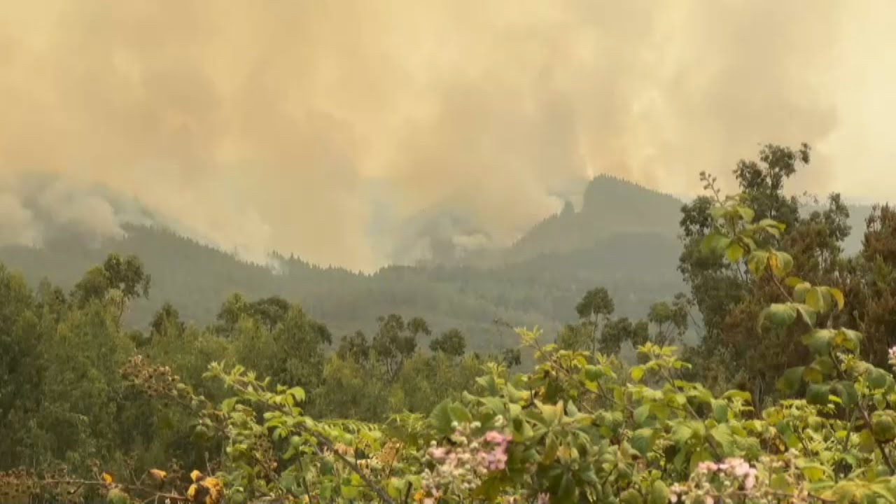 El fuego de Tenerife 
