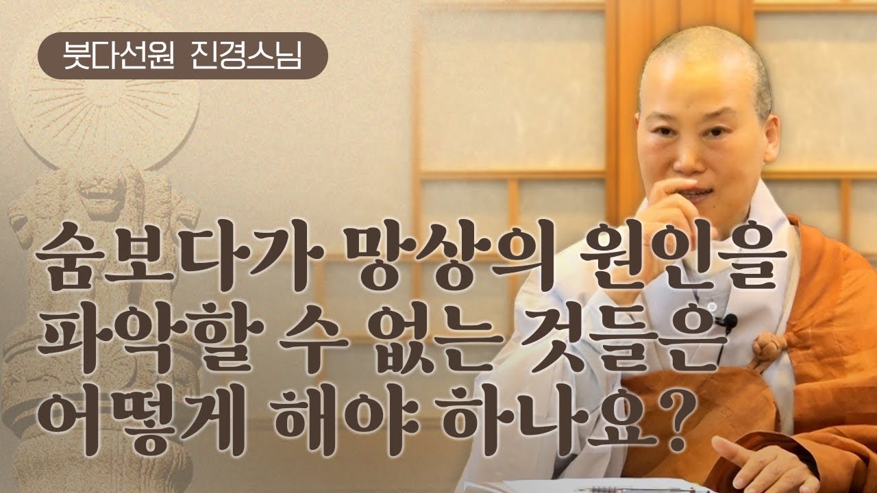 숨보다가 망상의 원인을 파악할 수 없는 것들은 어떻게 해야 하나요?ㅣ붓다선원 진경스님ㅣ240420
