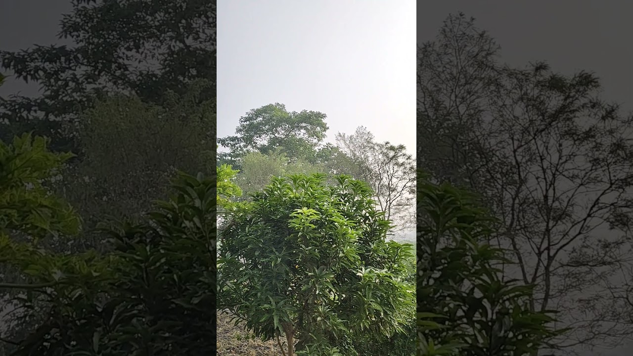 Winter season bihar | Village Vibes