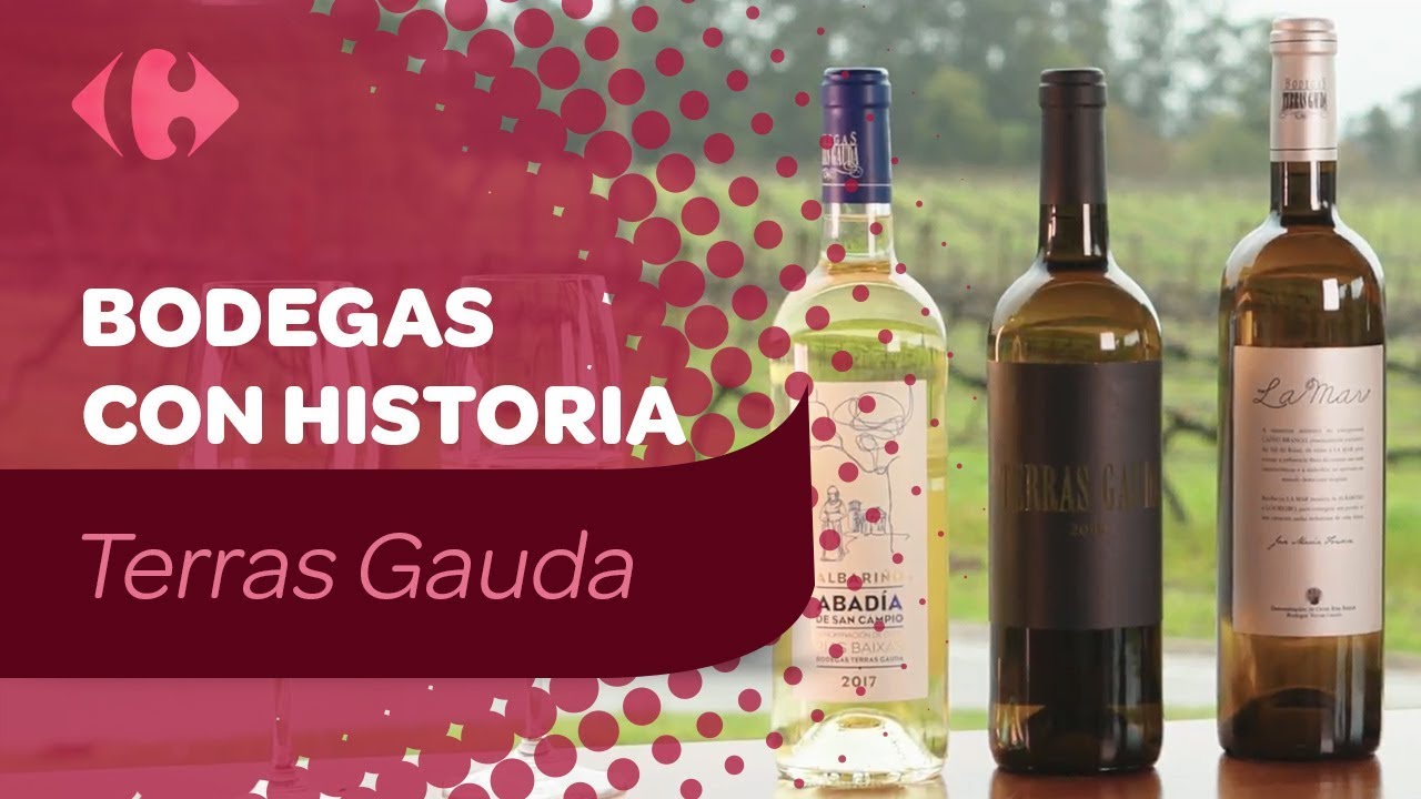 Bodega Terras Gauda