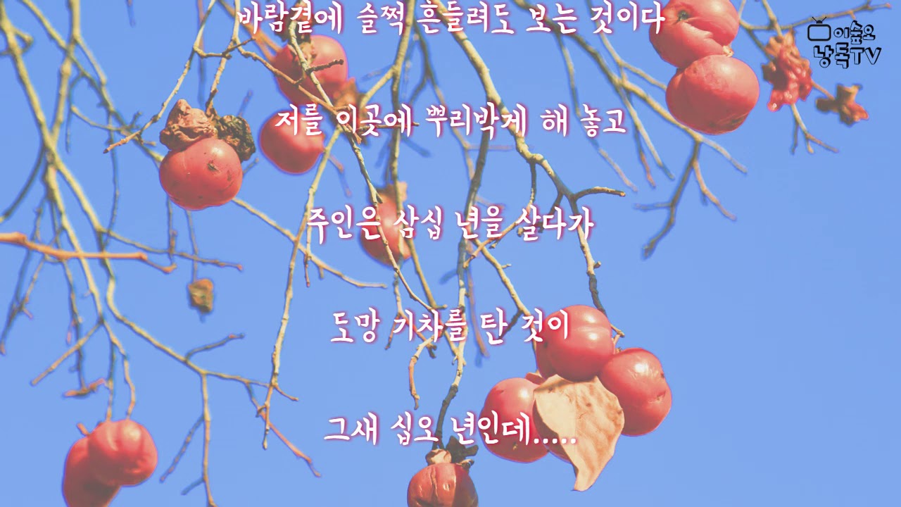 [이숲오 낭독TV 058] 감나무-이재무