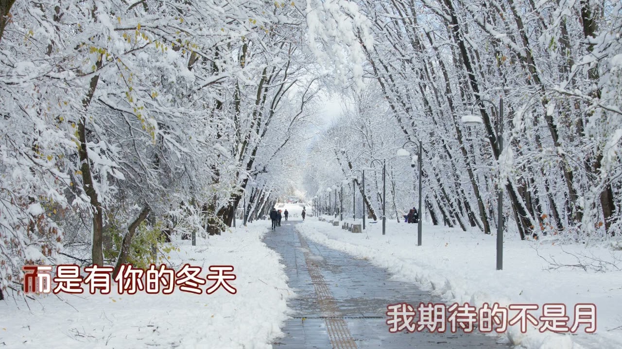 張妙格 - 我期待的不是雪 伴奏ktv