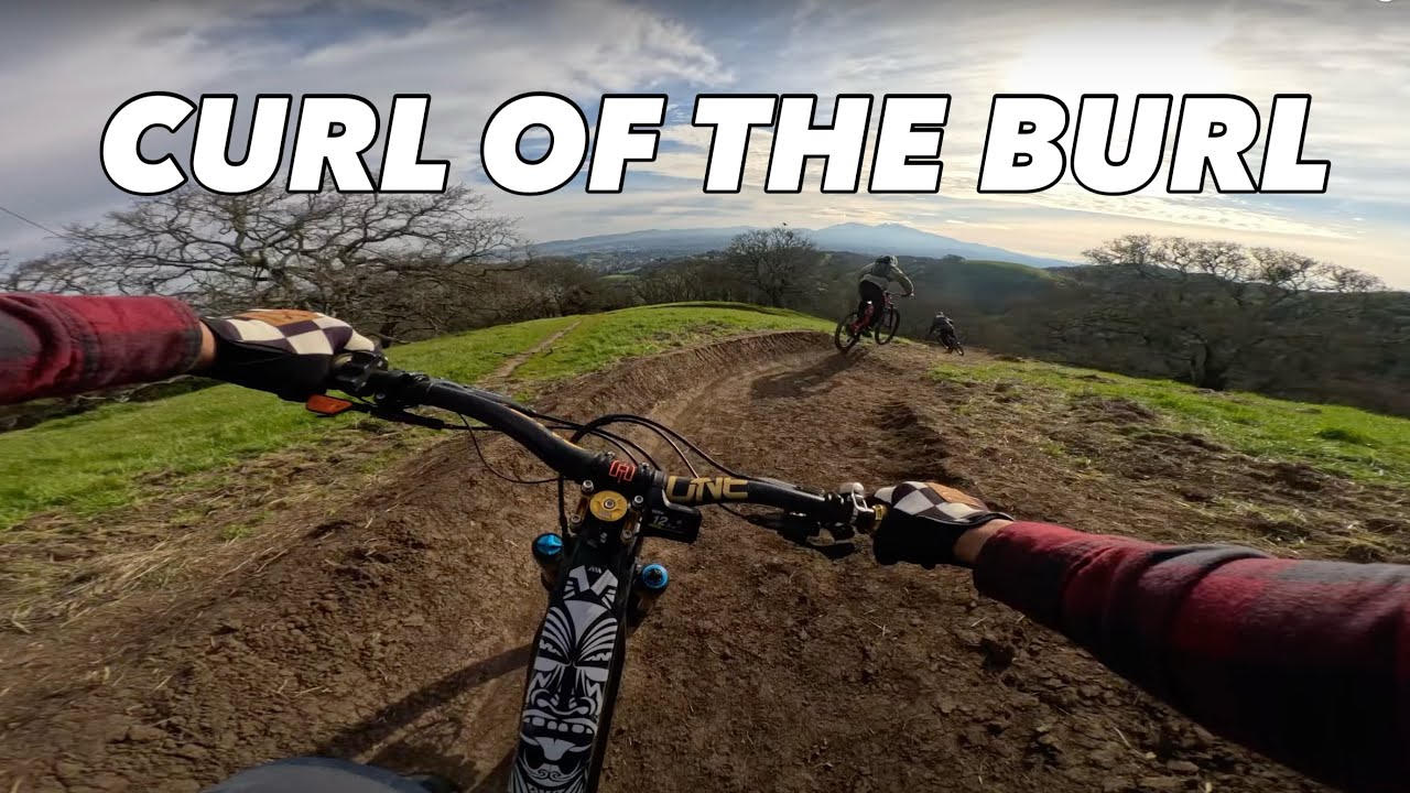 MTB Briones Regional Park : Curl of the Burl | NEW ENTRANCE