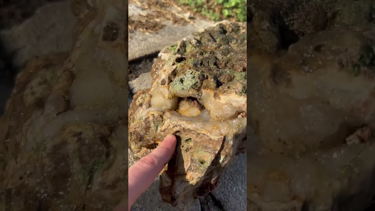 Druzy Quartz, Agate and&hellip;. Stromatolite&rsquo;s!? This thing is CRAZY!