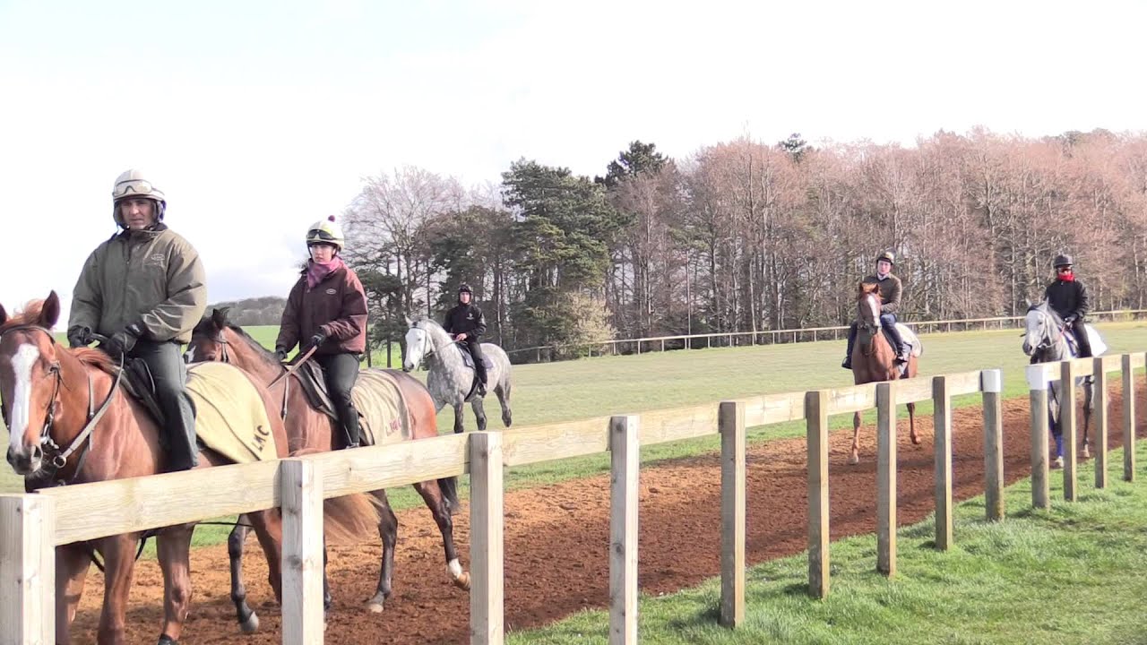 Newmarket Gallops